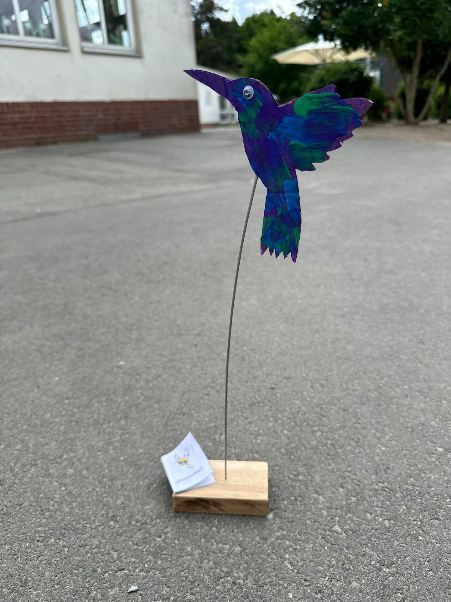 Kolibris in der Ghana-AG